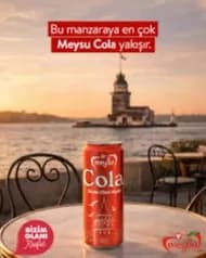 Meysu Cola (330 Ml)