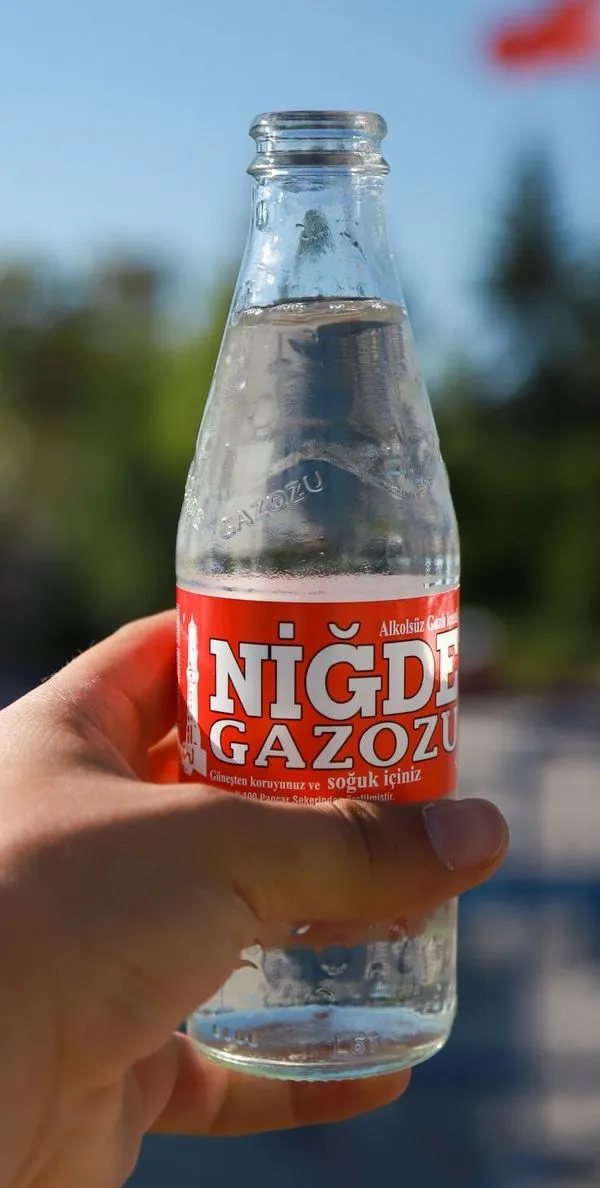 Niğde Gazozu (250 Ml)